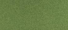 Moquette Scénario JUNGLE
