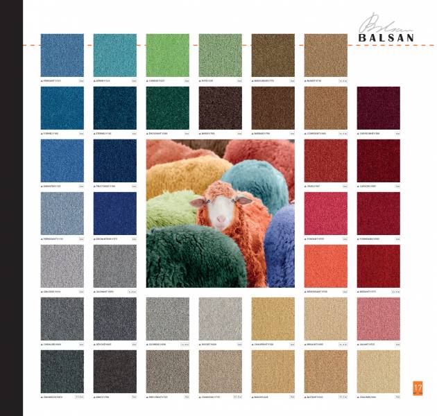 Valise Excellence 11 - Majestic 2