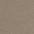 Moquette Lake 620