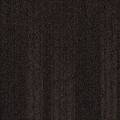 Moquette Sirocco Sonic Confort 790