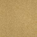 Moquette Script  OR