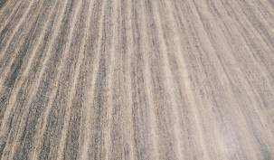 Décolleuse à moquette : comment s'en servir ?