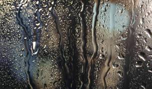 Moquette et humidité : Comment gérer ?