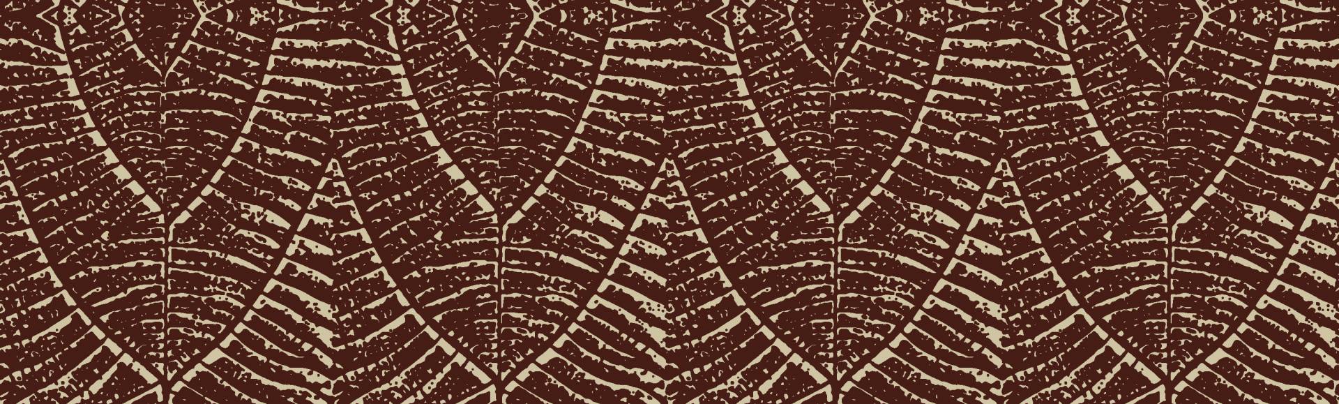 Dare Your Dreams 6_Talento