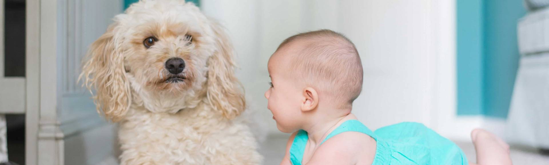 Est-ce que la moquette en dalle est un bon isolant thermique ?