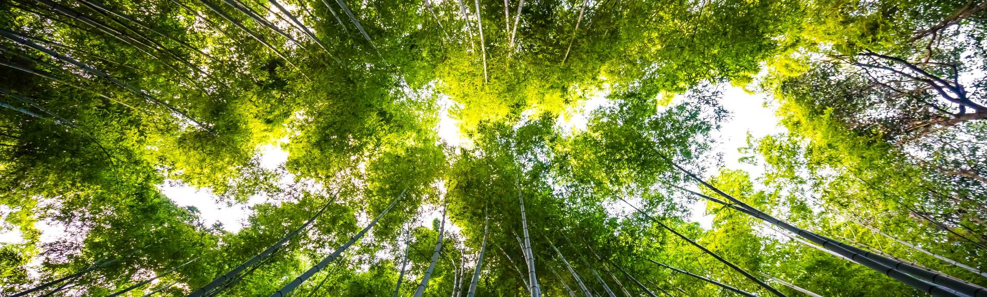 Environnement : Votre moquette est-elle exemplaire ?