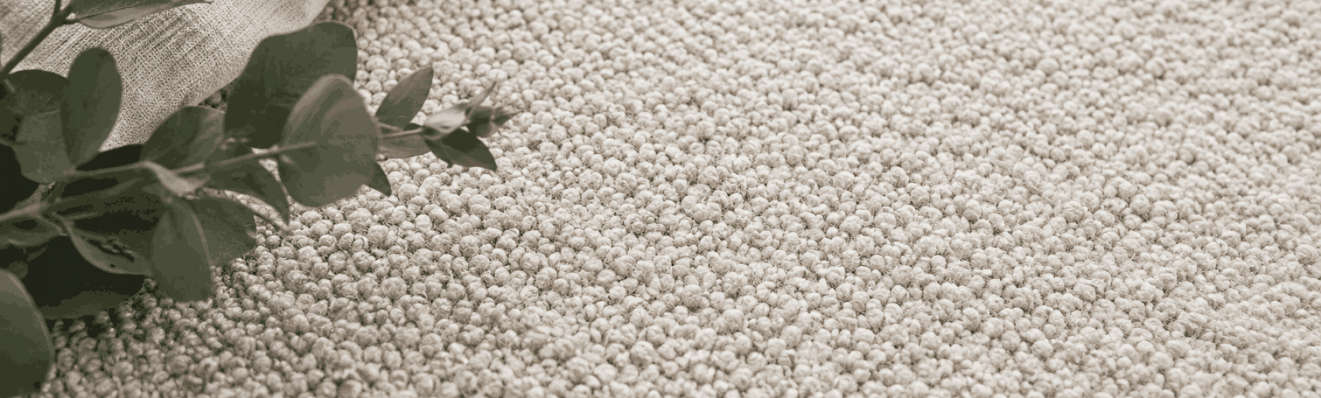 developpement durable moquette atout ecologique