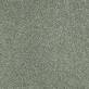 Moquette Script  JADE