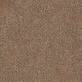 Moquette Take a Walk MOODS 452