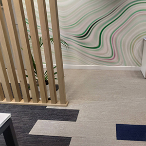 Bouygues Immobilier - Annecy